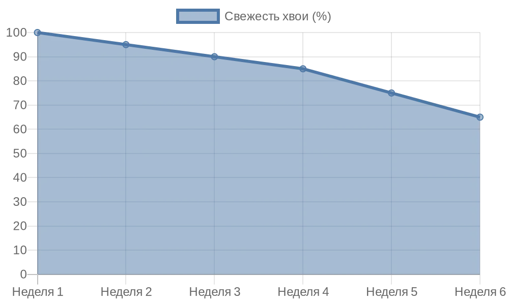 Ель нордмана как выбор для новогодних праздников: сильные и слабые стороны